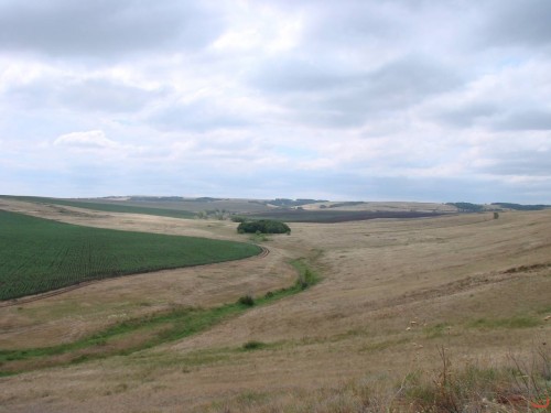 Экспедиция в рамках сайта История Оренбуржья. 12-16 июля 2010 года. День четвертый