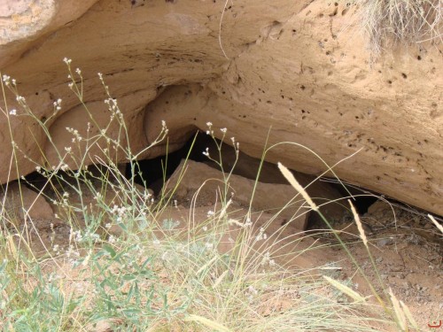 Экспедиция в рамках сайта История Оренбуржья. 12-16 июля 2010 года. День четвертый