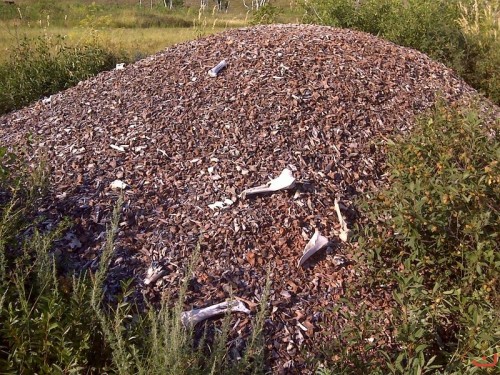 Гора костей