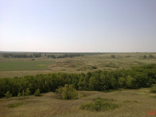 Вид на участок