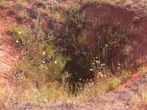 Большой провал