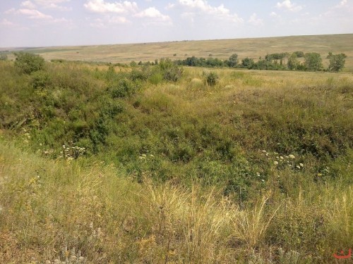 Каргалинские рудники