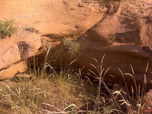 Засыпанный вход в штольню