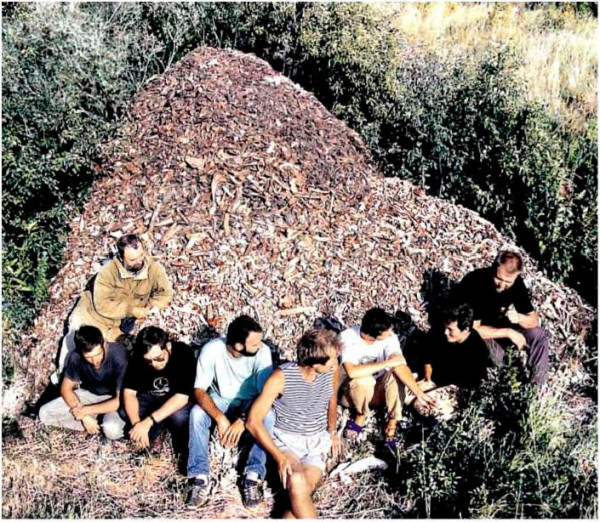 Рис. 6. Селище Горный. Этот «холм» содержит более 2,5 миллионов костей домашних животных.