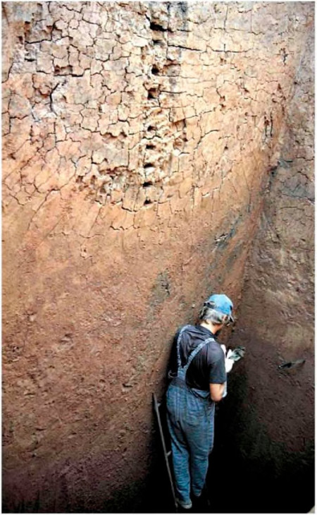 Рис. 8. 2. Отбор проб для палинологического и радиоуглеродного анализов в разрезе карьера.